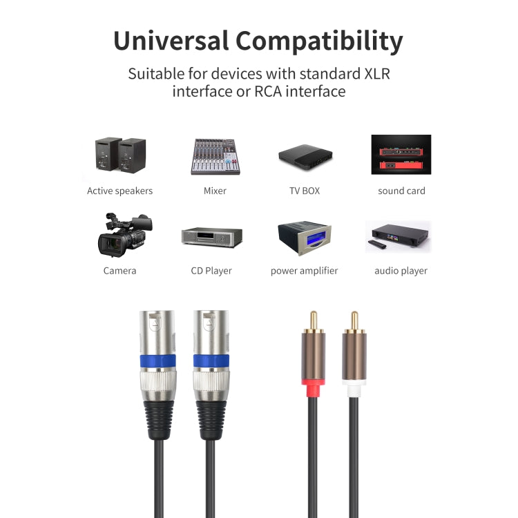 2 RCA vīriešu un 2 XLR 3 kontaktu vīriešu audio kabelis