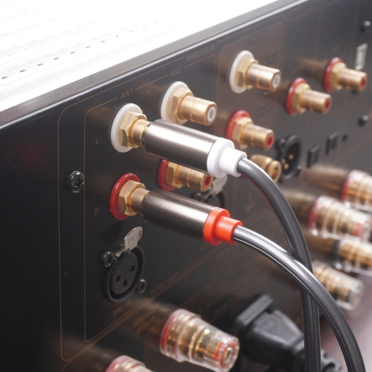 2 RCA vīriešu un 2 XLR 3 kontaktu vīriešu audio kabelis