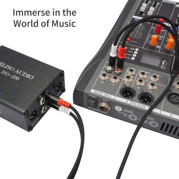 2 RCA vīriešu un 2 RCA vīriešu audio kabelis