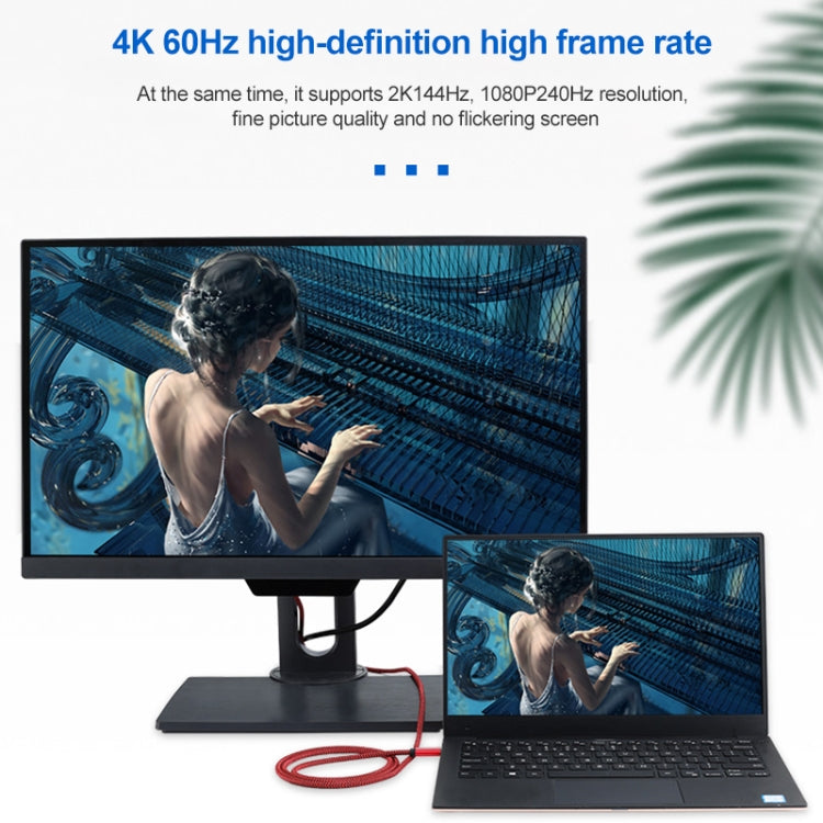 Кабель-адаптер 4K 60 Гц USB-C/Type-C (штекер) — DisplayPort (штекер) HD