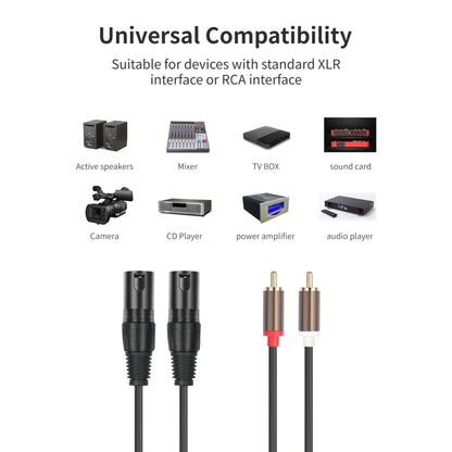 2 RCA vīriešu un 2 XLR vīriešu audio balansēšanas kabelis