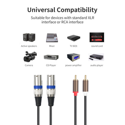 2 RCA vīriešu un 2 XLR 3 kontaktu vīriešu audio kabelis