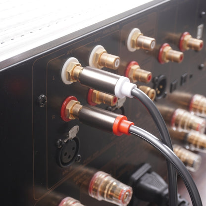2 RCA vīriešu un 2 XLR 3 kontaktu vīriešu audio kabelis