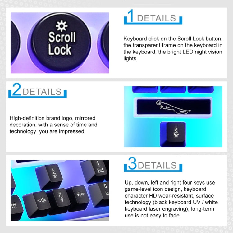 Chasing Leopard G21 USB 104-keys Waterproof Floating Round Punk Keycap Colorful Backlight Mechanical Feel Wired Keyboard, Length: 1.3m