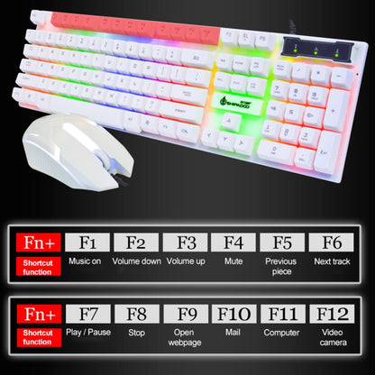 SHIPADOO D280 Wired RGB Backlight Mechanical Feel Suspension Keyboard + 3D Cool Mouse Kit for Laptop, PC