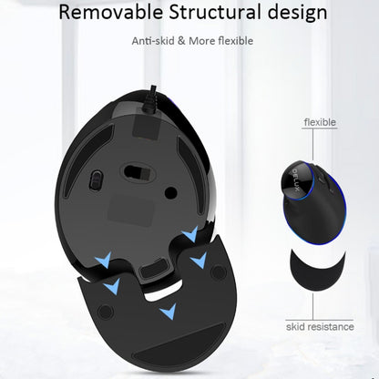 DELUX M618 Plus Wired Blue Version Optical Mouse Ergonomic Vertical Mouse 1600DPI