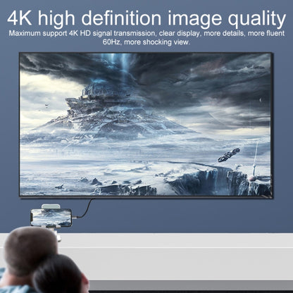 2 в 1 4K 60 Гц HDMI (штекер) на USB-C/Type-C для зарядки + адаптер USB-C/Type-C (гнездо)