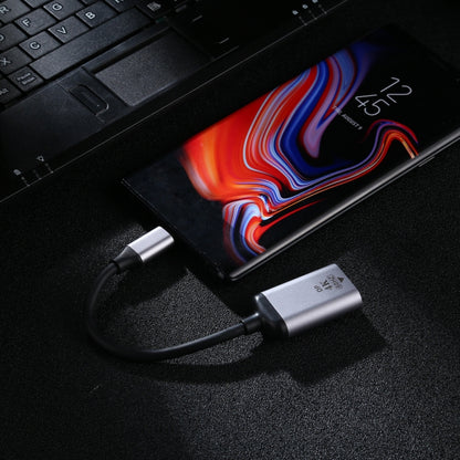 Кабель-адаптер 4K 60 Гц DP (мама) - Type-C / USB-C (папа)