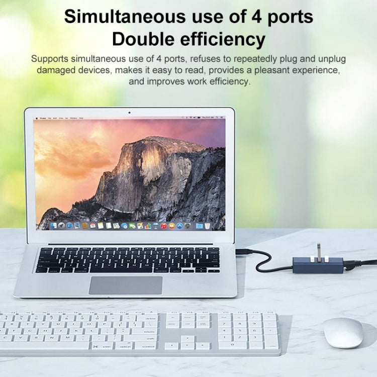 RDS 6307-3 USB-C / Type-C на USB3.0 + два USB2.0 + RJ45 4-в-1 концентратор-адаптер