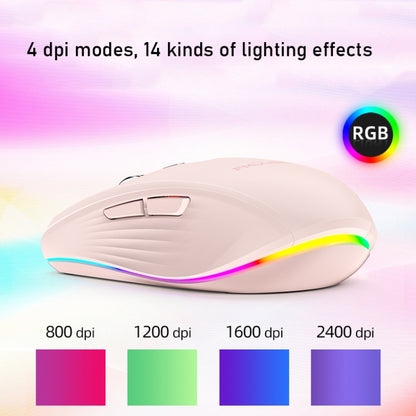 Fmouse M303 2400DPI Bluetooth&2.4G Dual Modes Rechargeable RGB Mouse