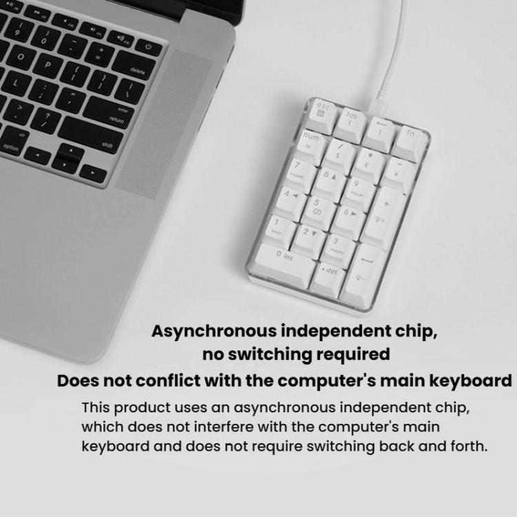 Little Kangaroo DS-9817 Backlit Non-Switching Wired Numeric Keypad Financial Business Banking Keyboard