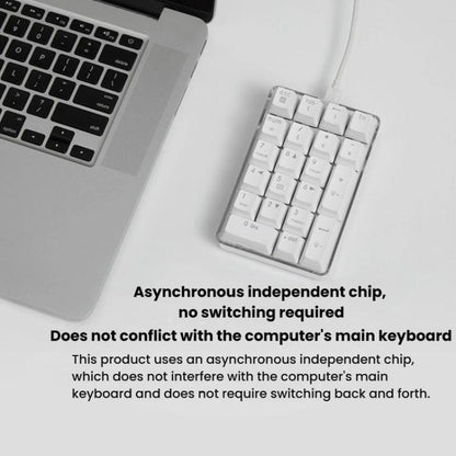 Little Kangaroo DS-9817 Backlit Non-Switching Wired Numeric Keypad Financial Business Banking Keyboard