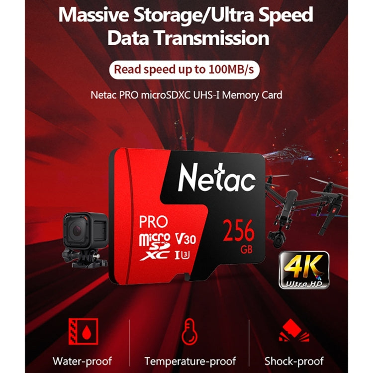 Netac P500 PRO 256 ГБ U3 скорость автомобильный регистратор данных монитор камера карта памяти TF карта