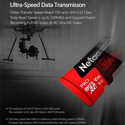 Netac P500 PRO 256 ГБ U3 скорость автомобильный регистратор данных монитор камера карта памяти TF карта